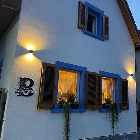 Ferienwohnung Blumenshein Bei Speyer Karlsruhe Familienfreundlich 5 Pers Zeiskam Exteriér fotografie