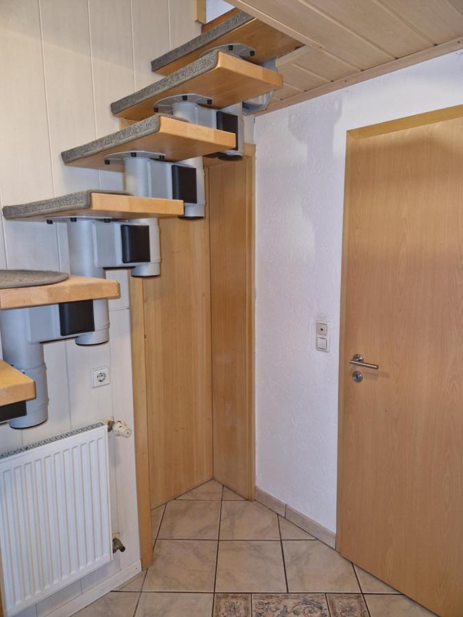 Ferienwohnung Blumenshein Bei Speyer Karlsruhe Familienfreundlich 5 Pers Zeiskam Exteriér fotografie