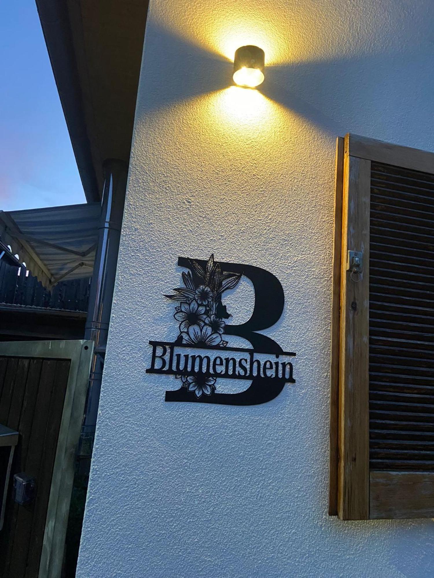 Ferienwohnung Blumenshein Bei Speyer Karlsruhe Familienfreundlich 5 Pers Zeiskam Exteriér fotografie